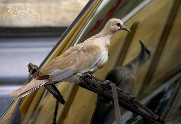 Фотовиставка Тетяни Должко